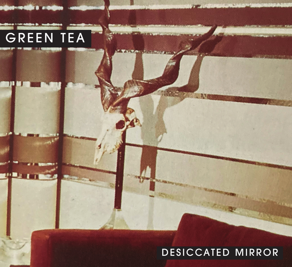 Green Tea Desiccated Mirror